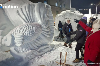 seavet-news-090226